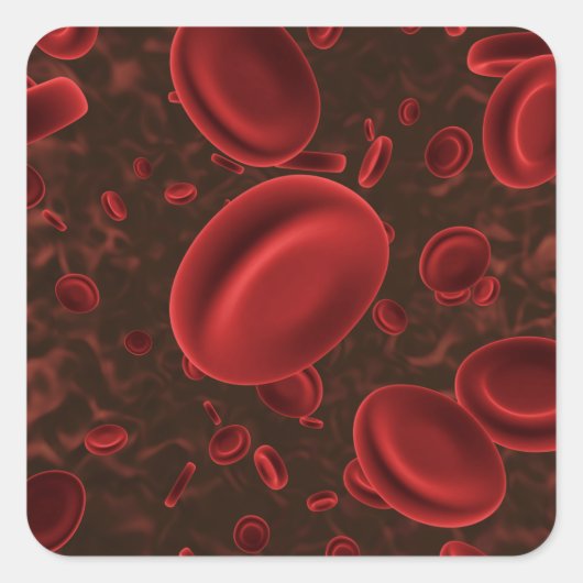 Rode bloedcellen vierkante sticker (Voorkant)