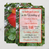 Rode Bloedweddenschappen Kaart (Voorkant / Achterkant)