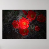 Rode bloeiende cactus, woestijnPoster Poster (Voorkant)