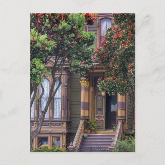 Rode Bloeiende Eucalyptusboom Frames Victoriaanse  Briefkaart (Voorkant)