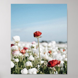 Rode bloem Afdruk, Waarde Poster Papier (Halfglans