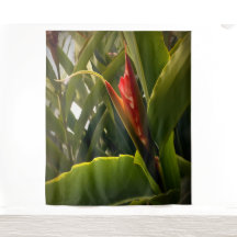 Rode bloem bloem tropische natuur groenblijvende p