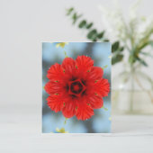 Rode Bloem Briefkaart (Staand voorkant)