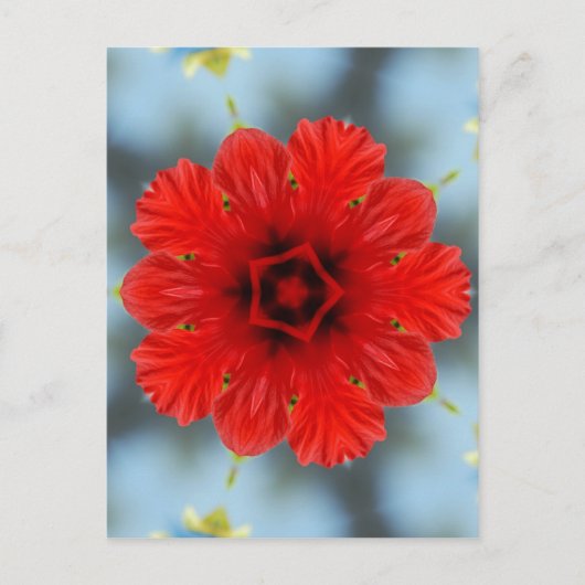 Rode Bloem Briefkaart (Voorkant)