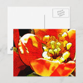 Rode bloem briefkaart (Voorkant / Achterkant)