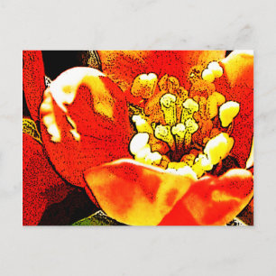 Rode bloem briefkaart
