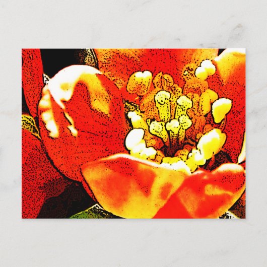 Rode bloem briefkaart (Voorkant)