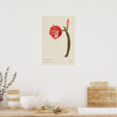 Rode Bloem Cactus Botanische Kunst Poster (Keuken)