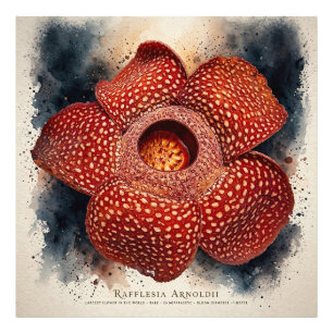 Rode Bloem Canvas Wandkunst Moderne Bloemendoek Foto Afdruk