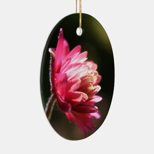 Rode Bloem in het Ornament van het Zonlicht (Rechts)