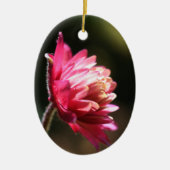 Rode Bloem in het Ornament van het Zonlicht (Voorkant)