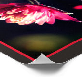 Rode Bloem In Zonlicht Close-up Mirror Abstract Poster (Hoek)