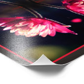 Rode Bloem In Zonlichtspiegel Abstract 8x10 Foto Afdruk (Hoek)