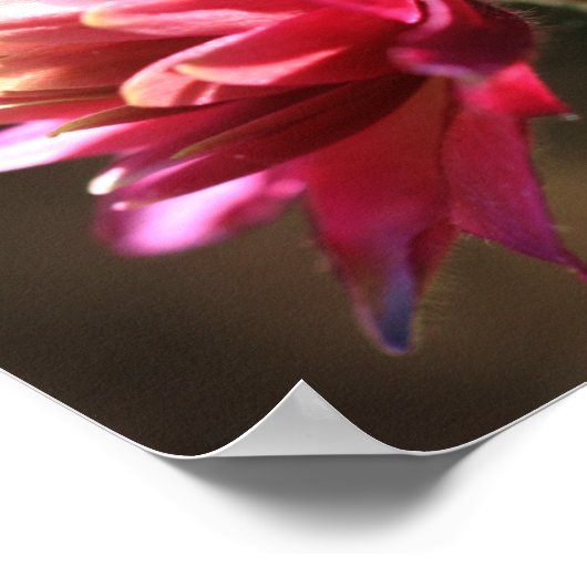 Rode bloem in zonlichtspiegel Abstract Poster (Hoek)