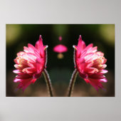 Rode bloem in zonlichtspiegel Abstract Poster (Voorkant)