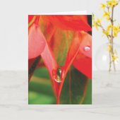 Rode bloem met dauw sensuele Natuur Kaart (Gele Bloem)