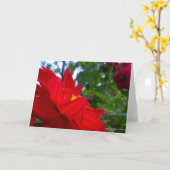 Rode bloem met geel centrum kaart (Gele Bloem)