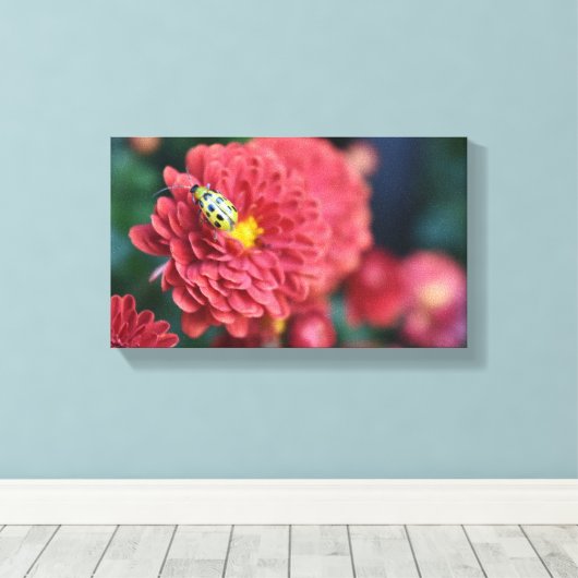 Rode Bloem Natuur Fotografie Beetle Insect Bug Canvas Afdruk (Insitu (Houten vloer))