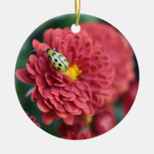 Rode Bloem Natuur Fotografie Beetle Insect Bug Keramisch Ornament