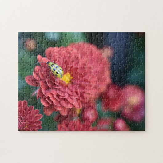 Rode Bloem Natuur Fotografie Beetle Insect Bug Legpuzzel (Horizontaal)