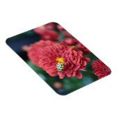 Rode Bloem Natuur Fotografie Beetle Insect Bug Magneet (Rechterzijde)