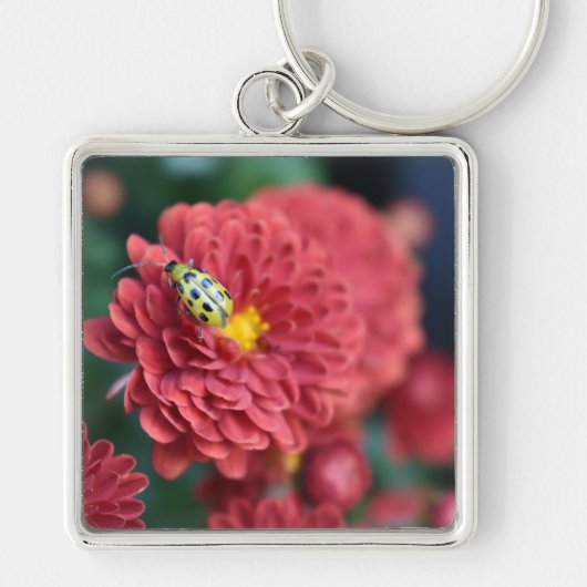 Rode Bloem Natuur Fotografie Beetle Insect Bug Sleutelhanger (Voorkant)