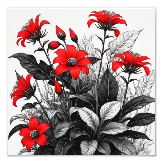 Rode bloem op zwart wit Plant Foto Afdruk (Voorkant)