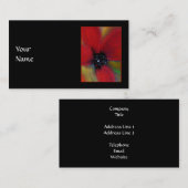 Rode Bloem, papaver. Visitekaartje (Voorkant / Achterkant)