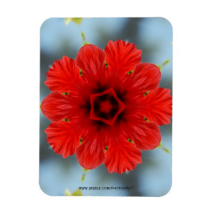 Rode Bloem Premium Magneet