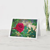 Rode bloem roos portret kaart (Voorkant)