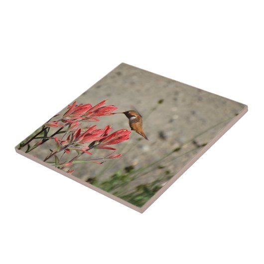 Rode bloem tegeltje (Zijkant)