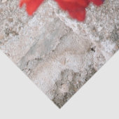 rode bloem tissuepapier (Detail)