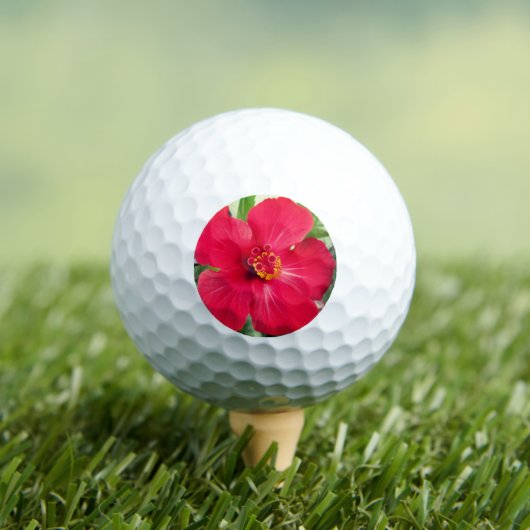 Rode bloem van Hibiscus Rosa-sinensis Golfballen (Insitu Shirt)