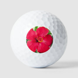 Rode bloem van Hibiscus Rosa-sinensis Golfballen