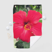 Rode bloem van Hibiscus Rosa-sinensis Golfhanddoek (Insitu)