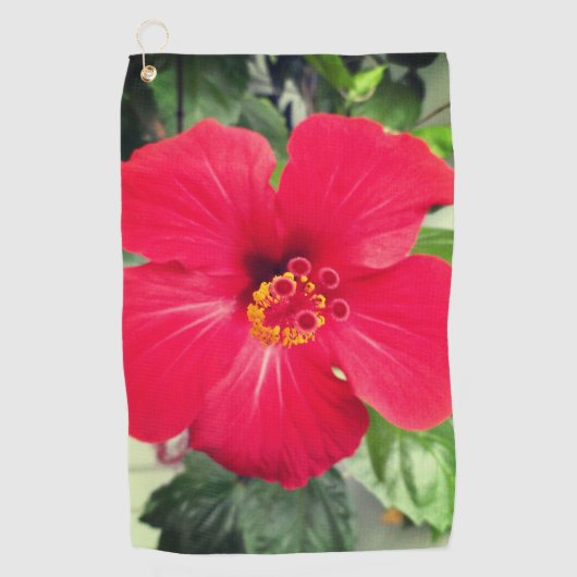 Rode bloem van Hibiscus Rosa-sinensis Golfhanddoek (Voorkant)