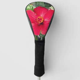 Rode bloem van Hibiscus Rosa-sinensis Golfheadcover