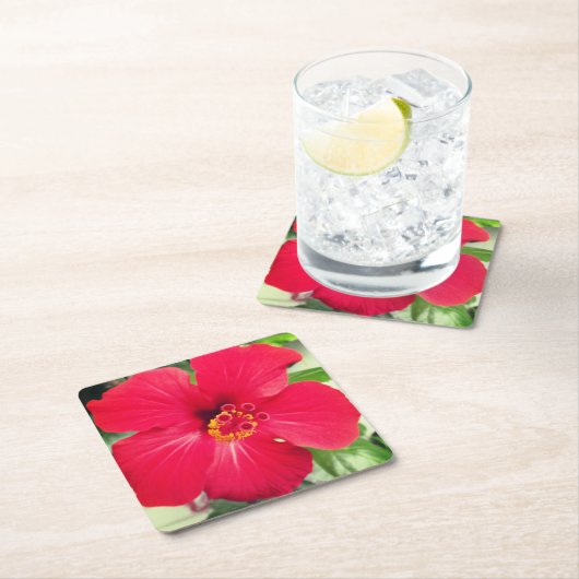 Rode Bloem van Hibiscus Rosa-sinensis Kartonnen Onderzetters (Insitu)