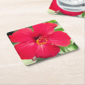 Rode bloem van Hibiscus Rosa-sinensis Kartonnen Onderzetters (Schuin)