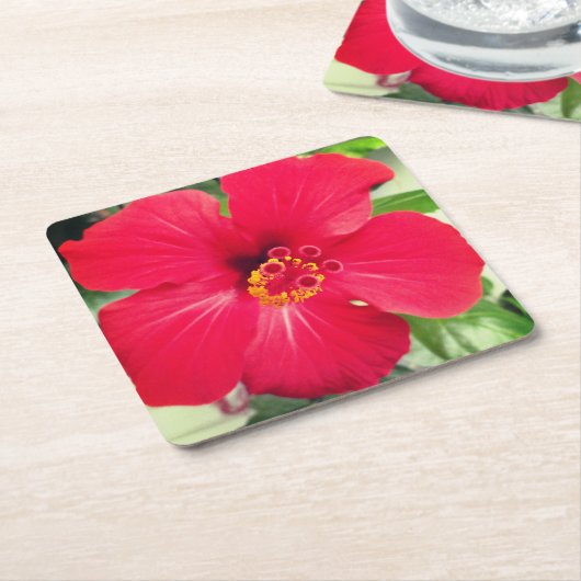 Rode Bloem van Hibiscus Rosa-sinensis Kartonnen Onderzetters (Schuin)