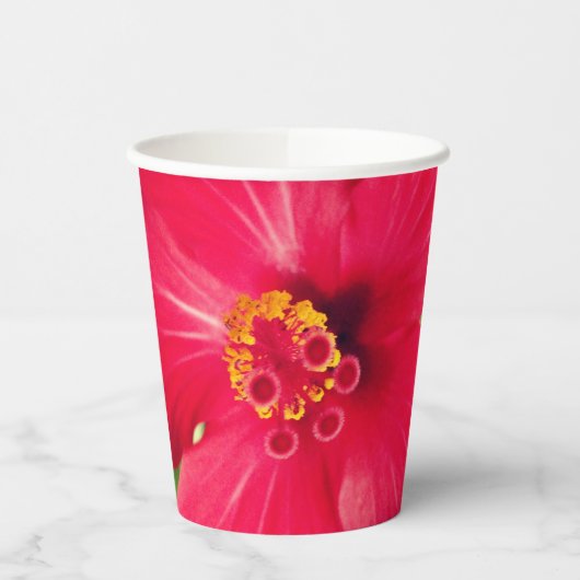 Rode bloem van Hibiscus Rosa-sinensis Papieren Bekers (Links)