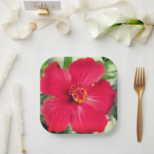 Rode bloem van Hibiscus Rosa-sinensis Papieren Bordje (Huwelijk)