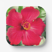 Rode bloem van Hibiscus Rosa-sinensis Papieren Bordje (Voorkant)