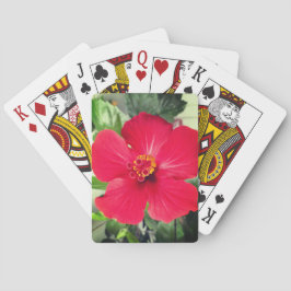 Rode bloem van Hibiscus Rosa-sinensis Pokerkaarten