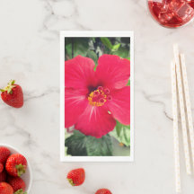 Rode bloem van Hibiscus Rosa-sinensis