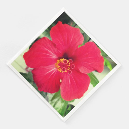 Rode bloem van Hibiscus Rosa-sinensis Servet (Hoek)