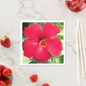 Rode bloem van Hibiscus Rosa-sinensis Servet (Insitu)