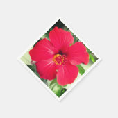 Rode bloem van Hibiscus Rosa-sinensis Servet (Hoek)