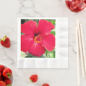 Rode bloem van Hibiscus Rosa-sinensis Servet (Insitu)