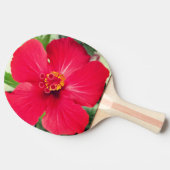 Rode bloem van Hibiscus Rosa-sinensis Tafeltennisbatje (Zijkant)
